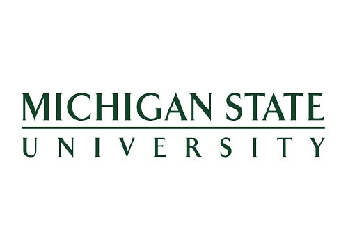 michigan state university